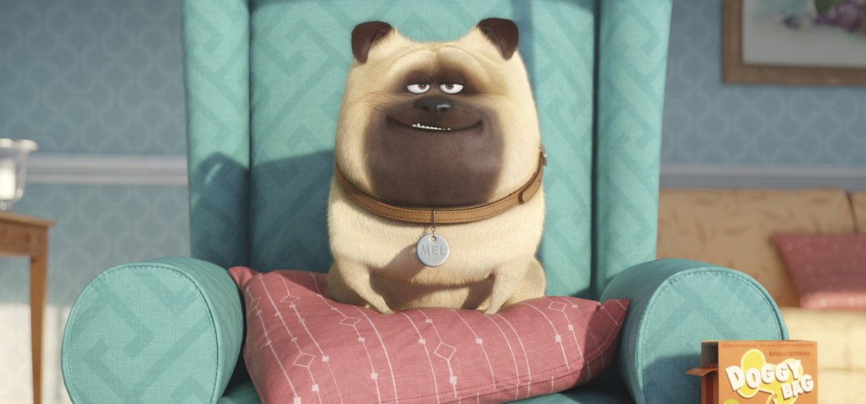 The Secrete Life of Pets Original