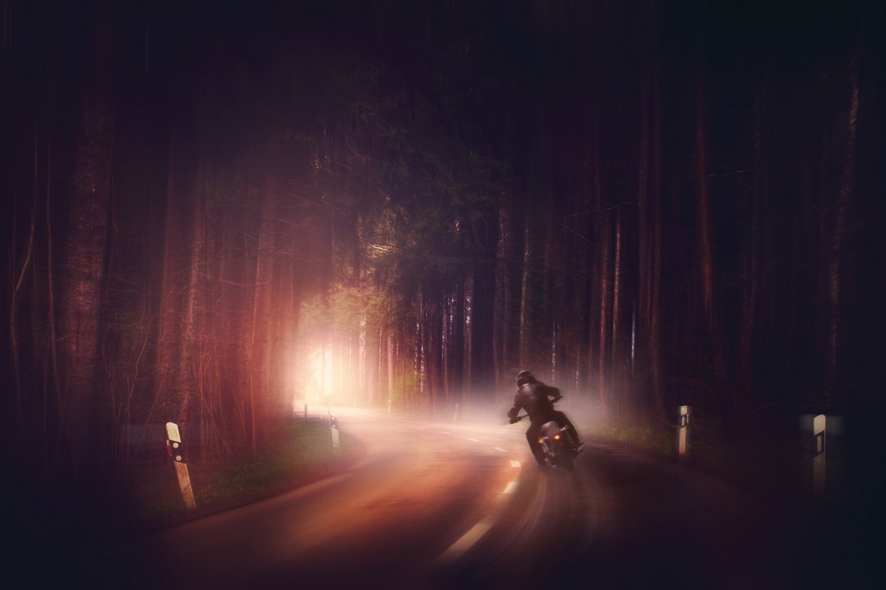 Biker In Woods Dark Road Digital Art