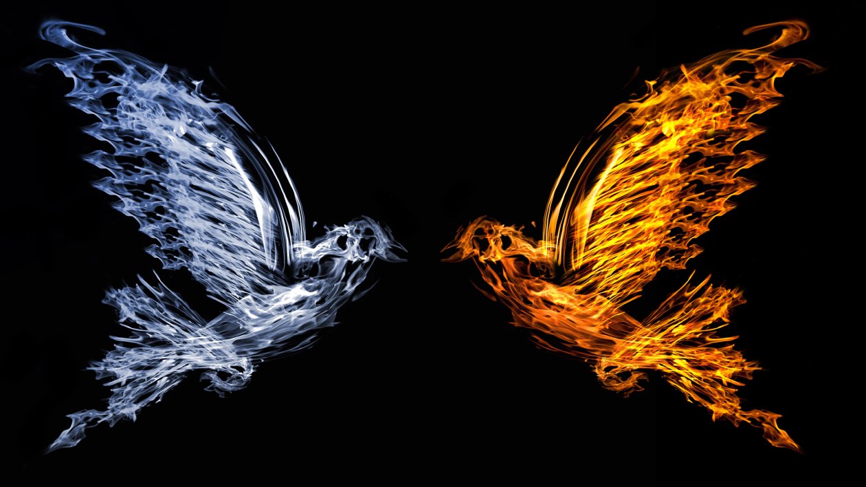 Bird Fire And Water