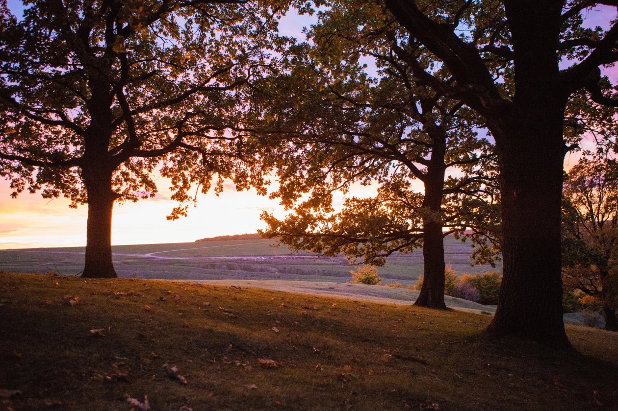 Sunset Suceava Trees Nature 5k