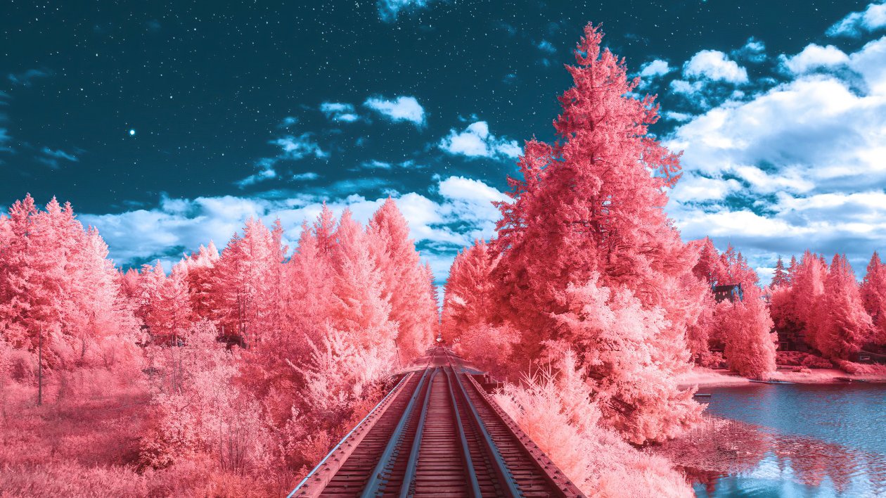 World Of Imagination