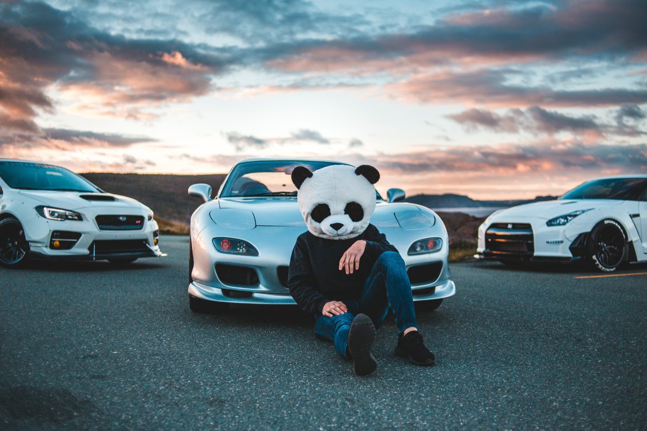 Panda Helmet Guy With Cars