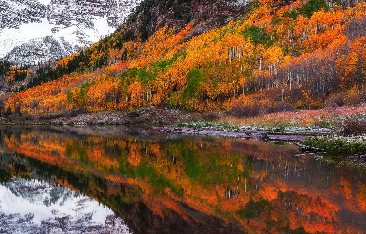 Fall Foliage Forest Lake Nature Reflection