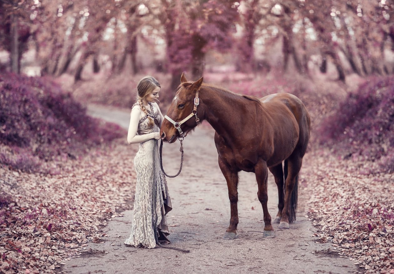 Girl With Horse