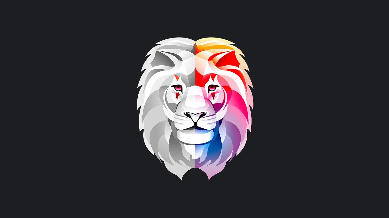 Lion Colorful Abstract Minimal 4k