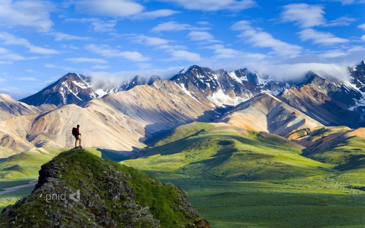Denali National Park