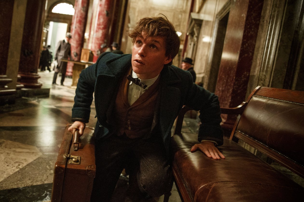 Eddie Redmayne In Fantastic Beasts