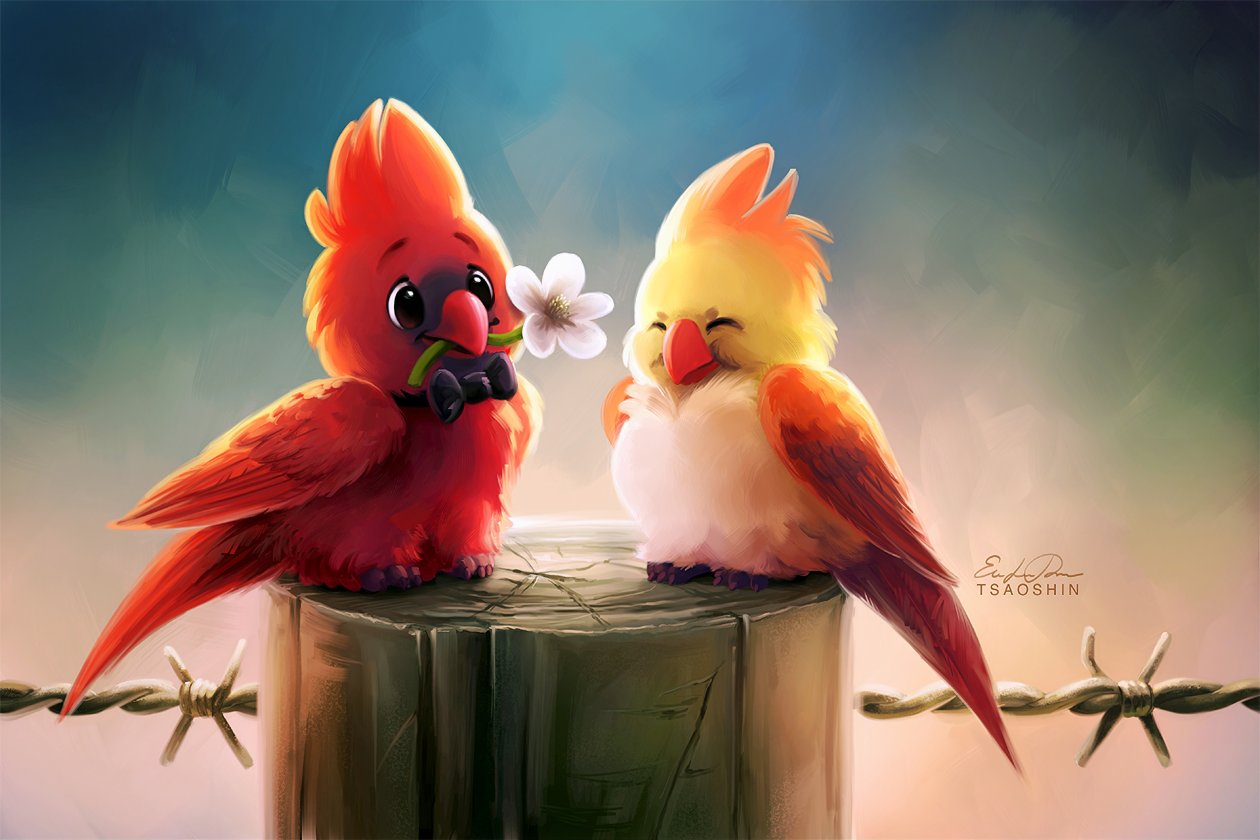 Cute Birds Romance 4k