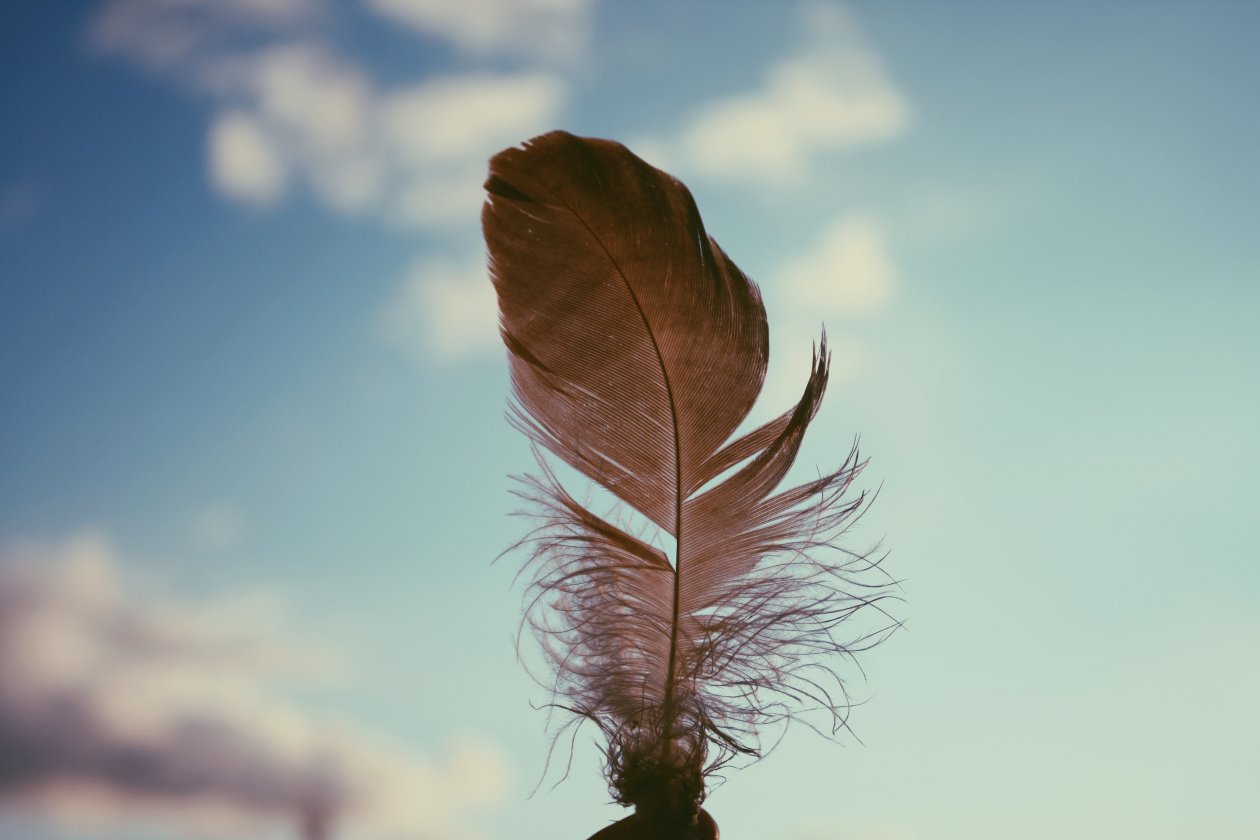 Feather Sky 4k