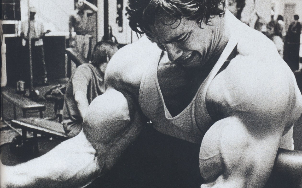 Arnold Schwarzenegger Arms
