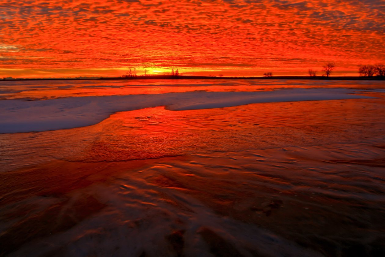 Red Paisagem