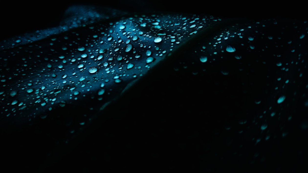 Leaf Dew Drops Droplet 4k