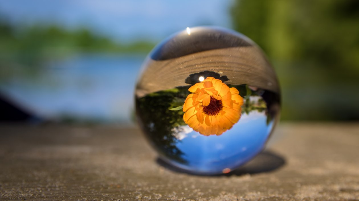 Flower Ball