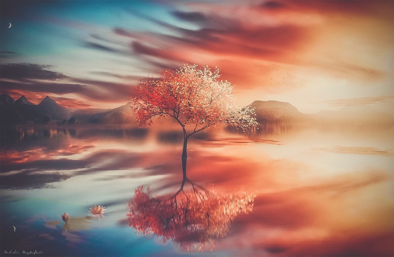 Trees Fantasy Art