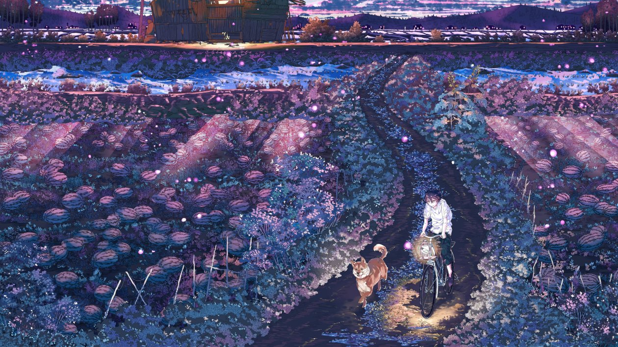Field Night Anime