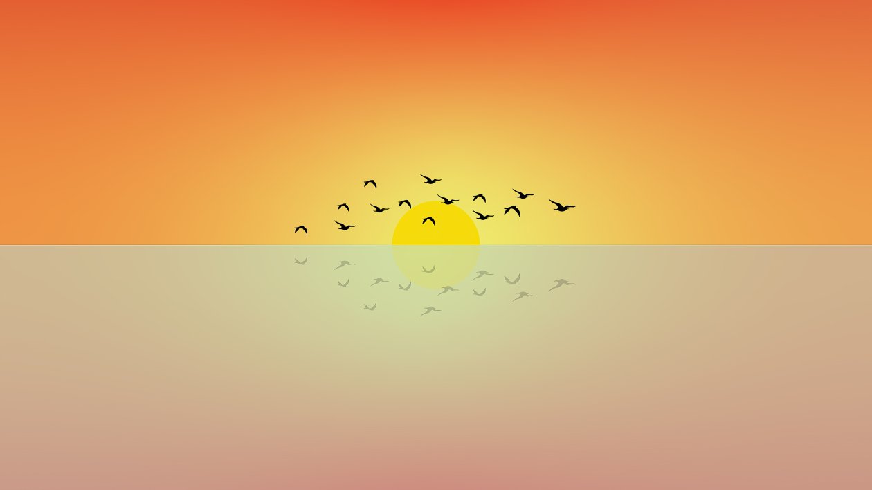 Birds Flying Sun Minimal 4k