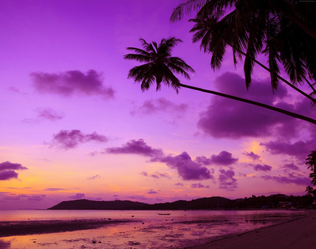 Purple Palm Tree