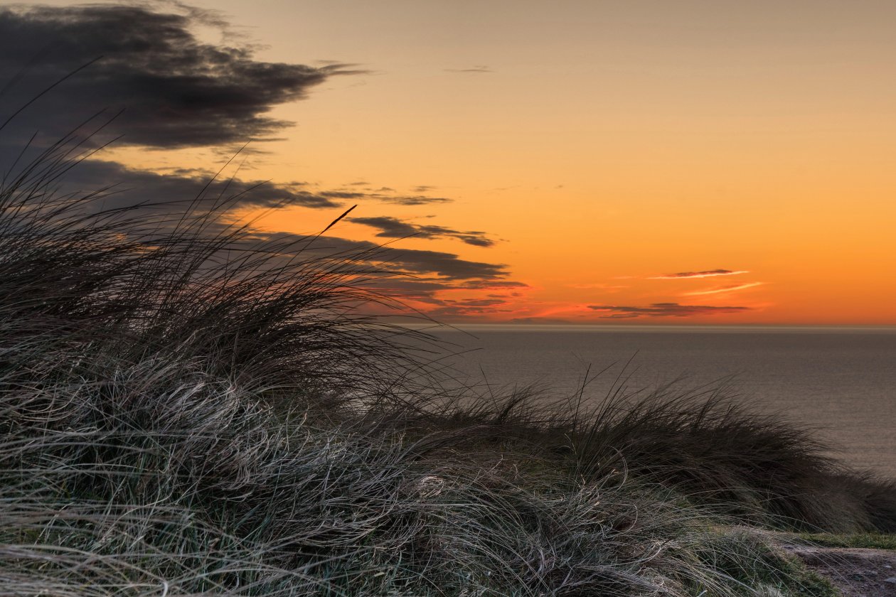 Grass Golden Sunset 5k