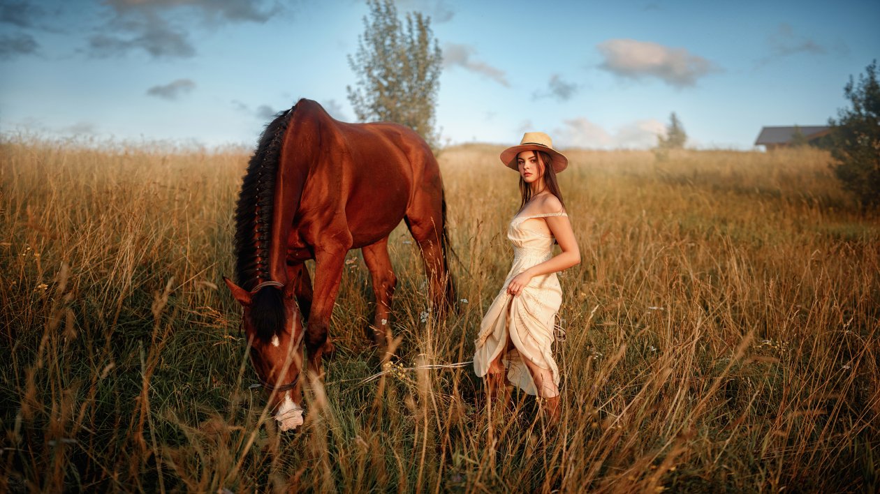 Girl With Horse Field 4k