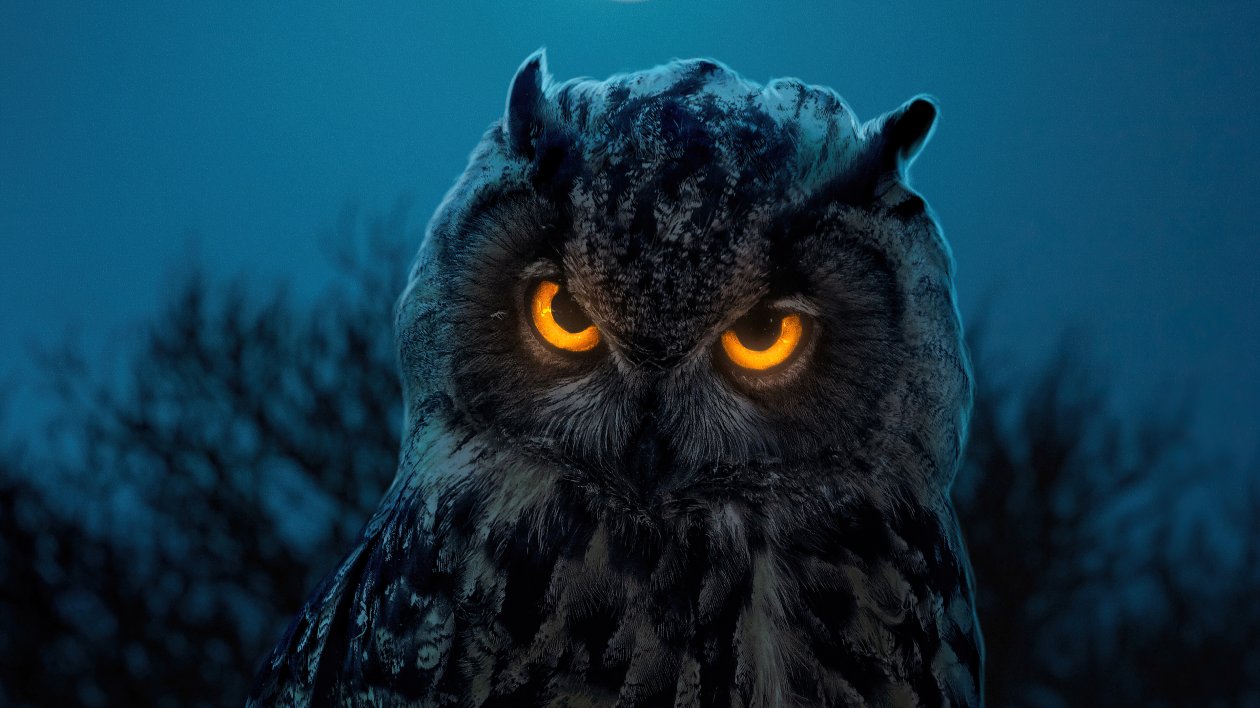 Owl Glowing Eyes