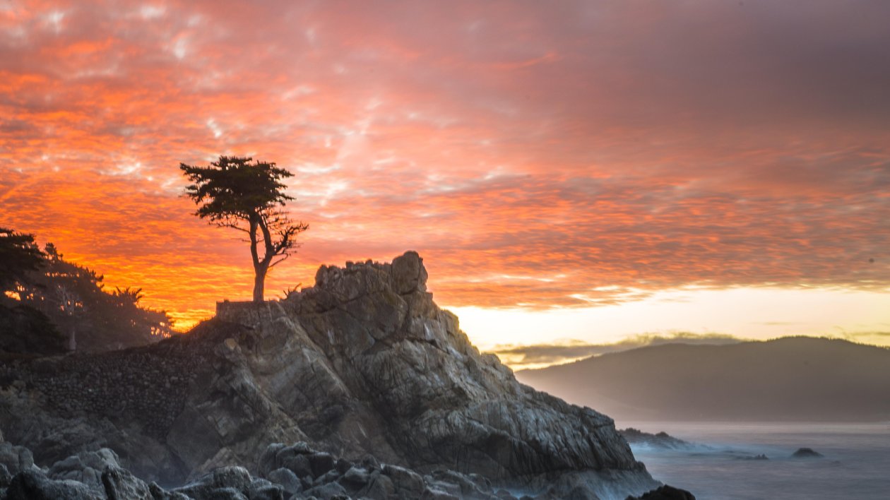 Alone Tree Breeze 5k