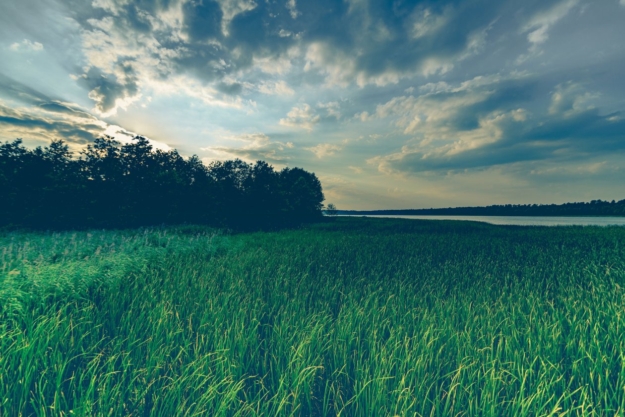 Green Grass Field Sky Reflection Wind 5k
