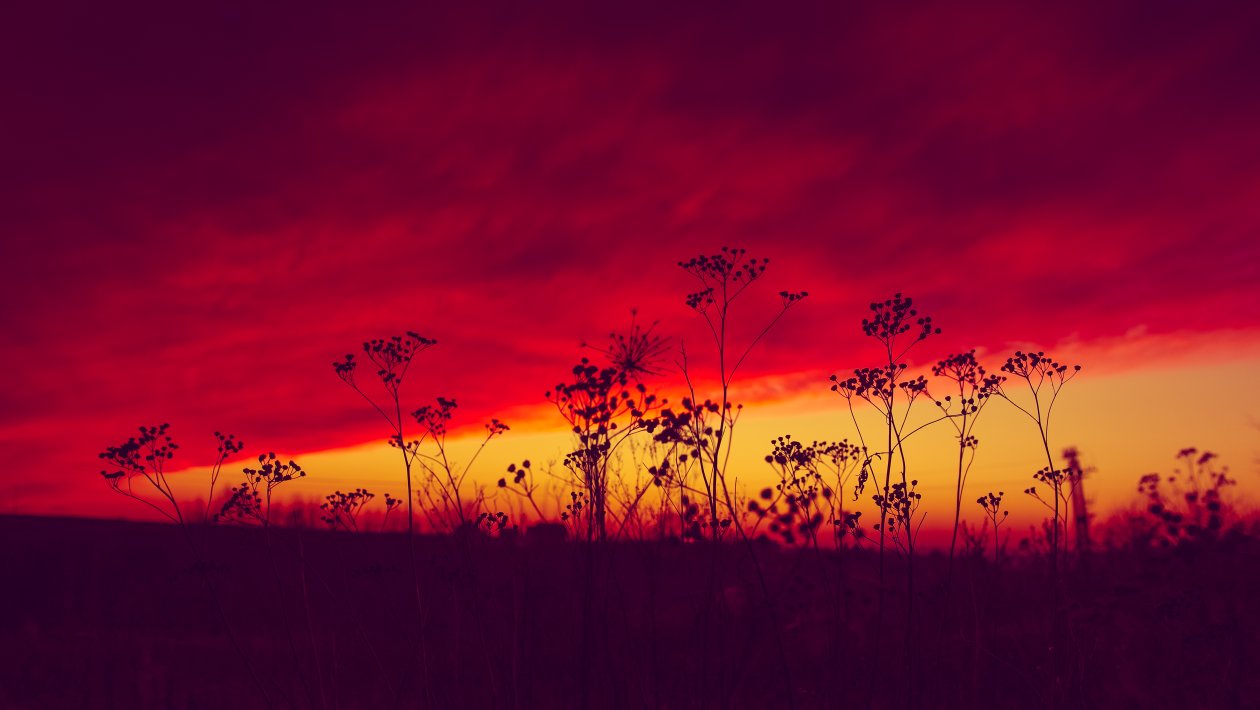 Poland Sunset 5k
