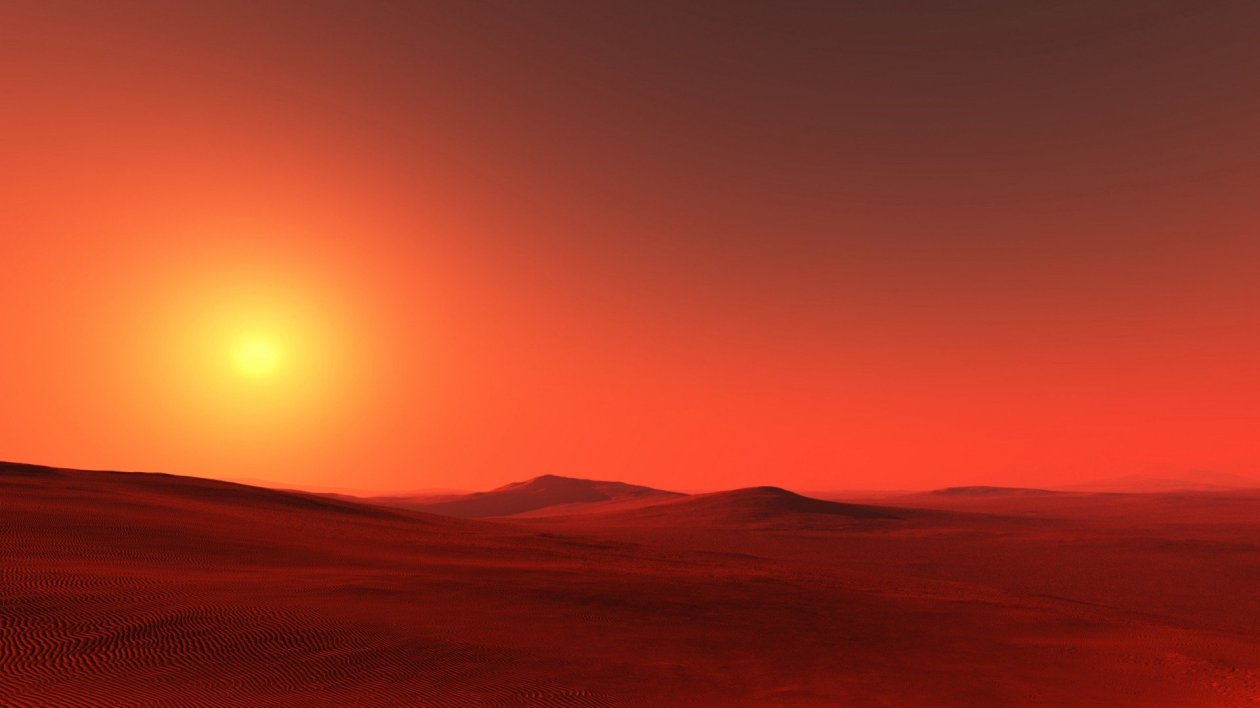 Orange Desert