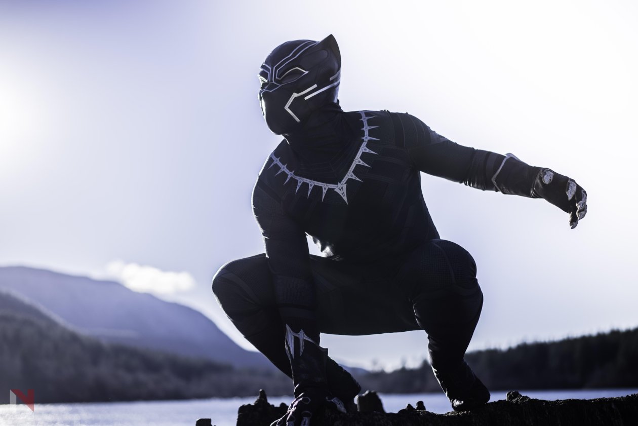 Black Panther The Protector Of Wakanda