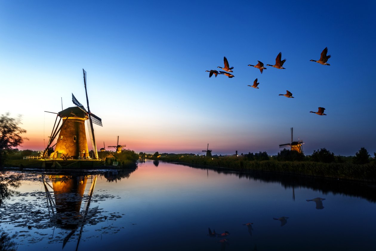 Windmill Birds Flying Evening Lake 4k