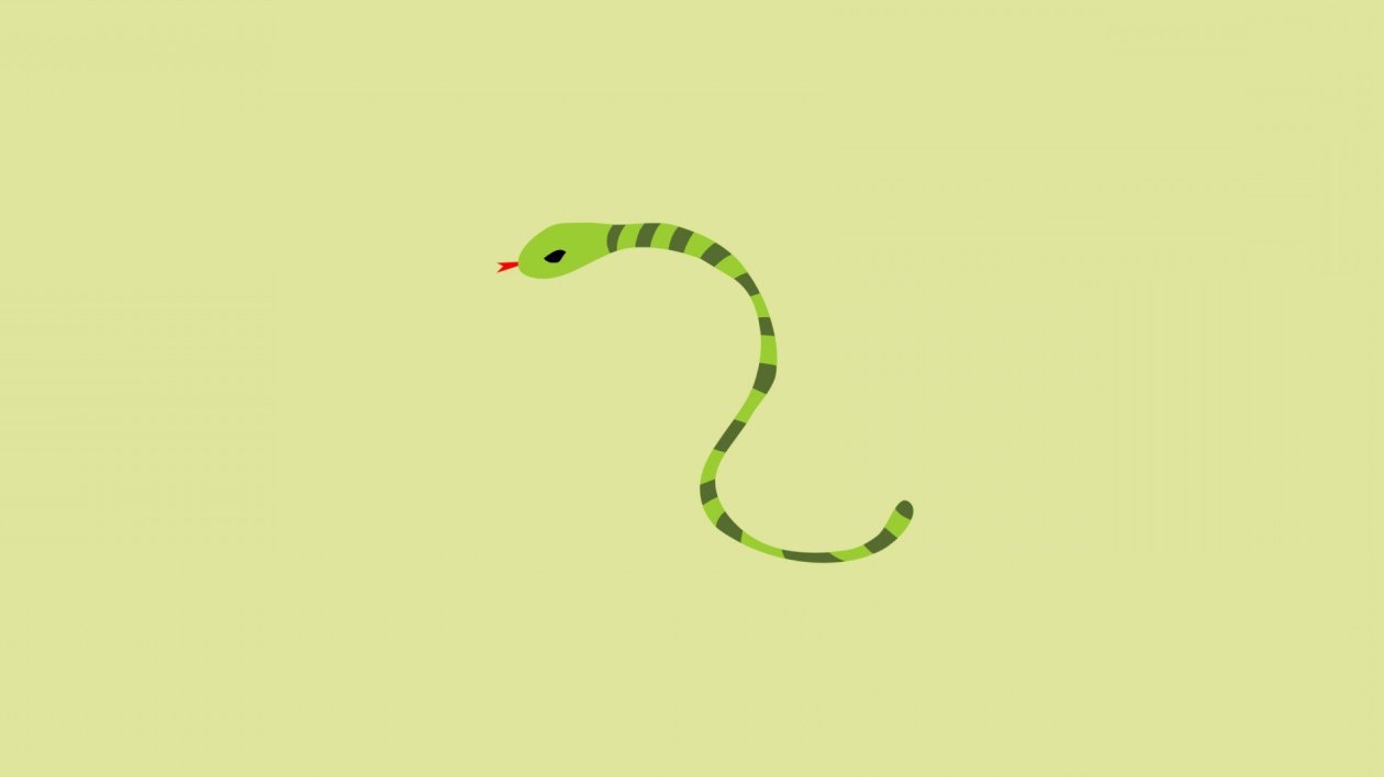 Snake Minimalism
