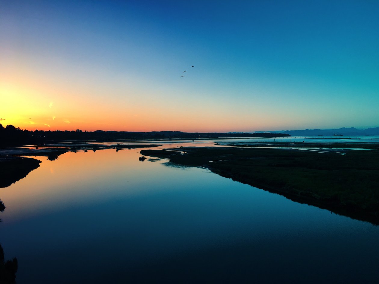 Sea Sunset Shore Birds 4k