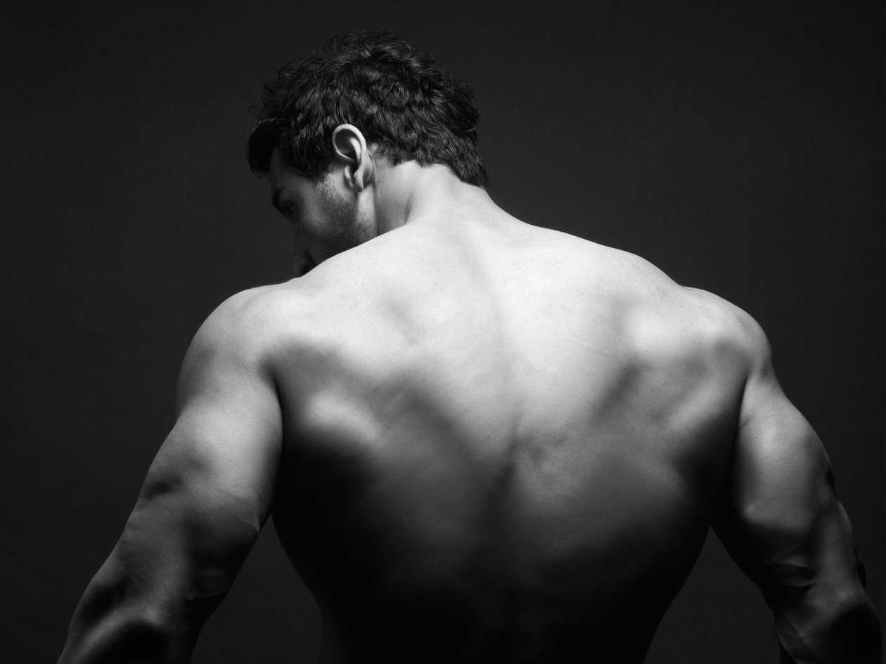 John Abraham Back