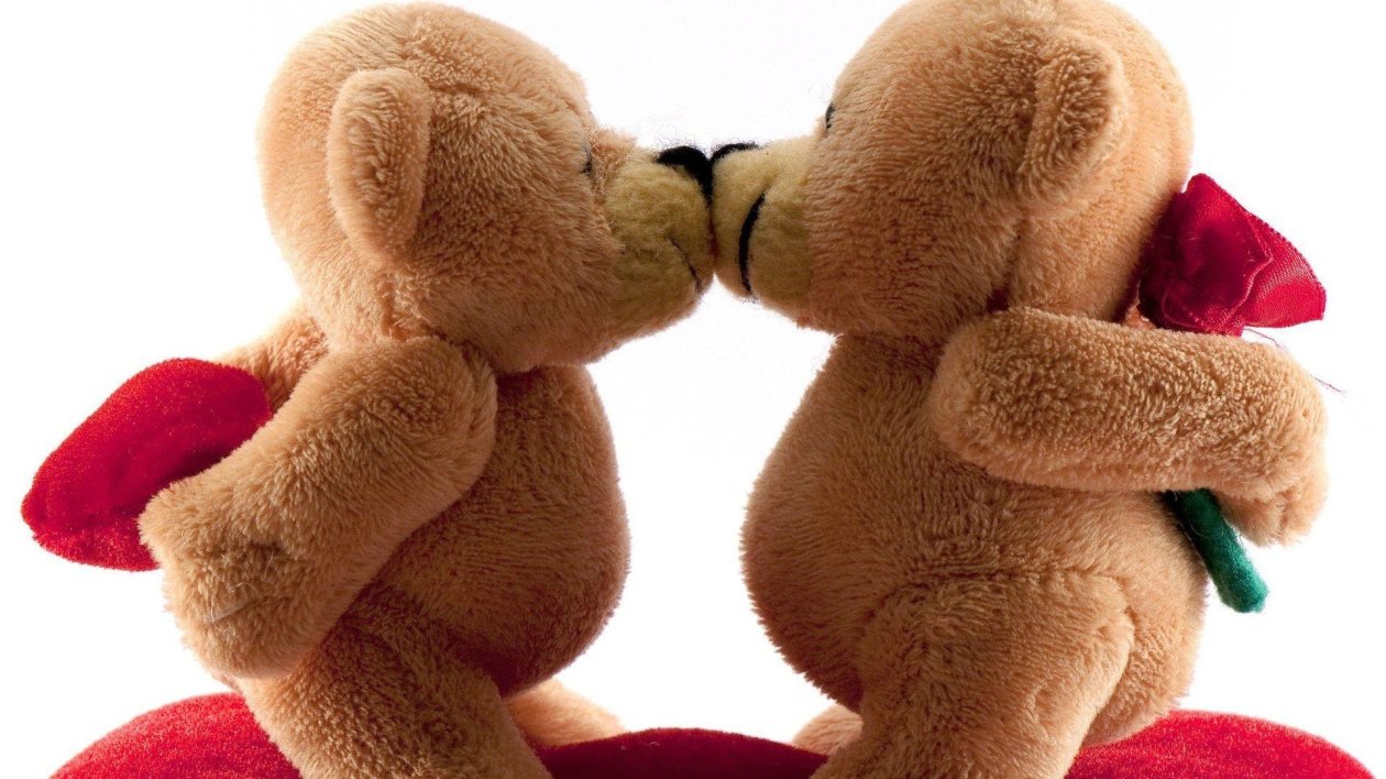 Bears Kissing