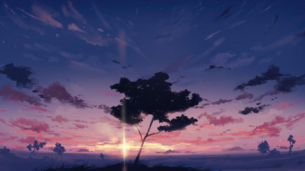 Sunset Sky Clouds Tree 4k