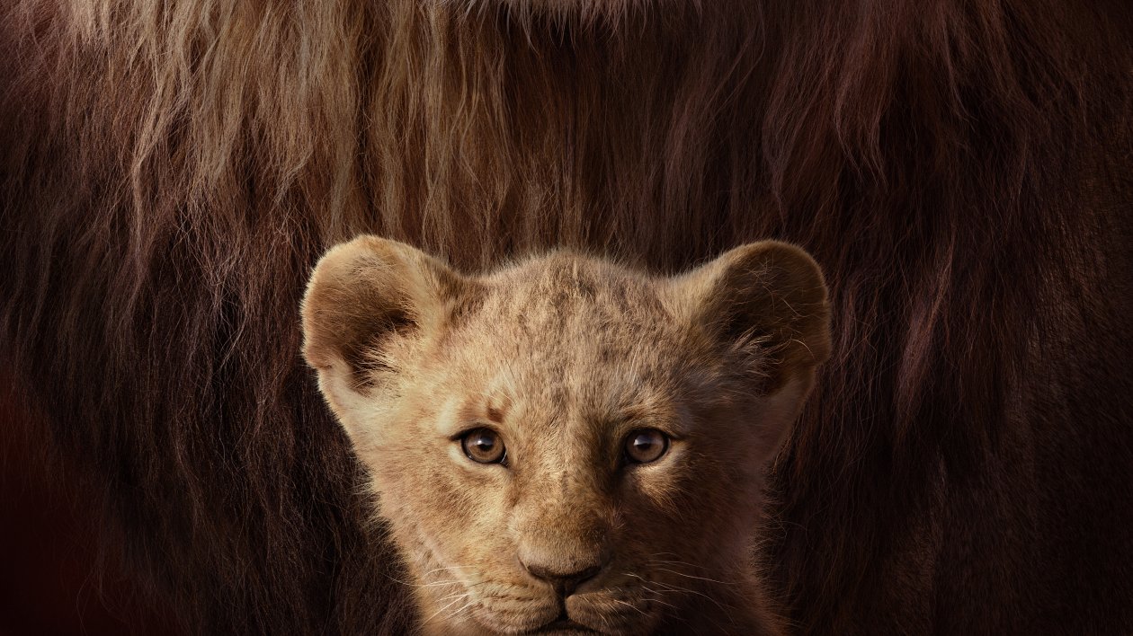 The Lion King Key Art 4k