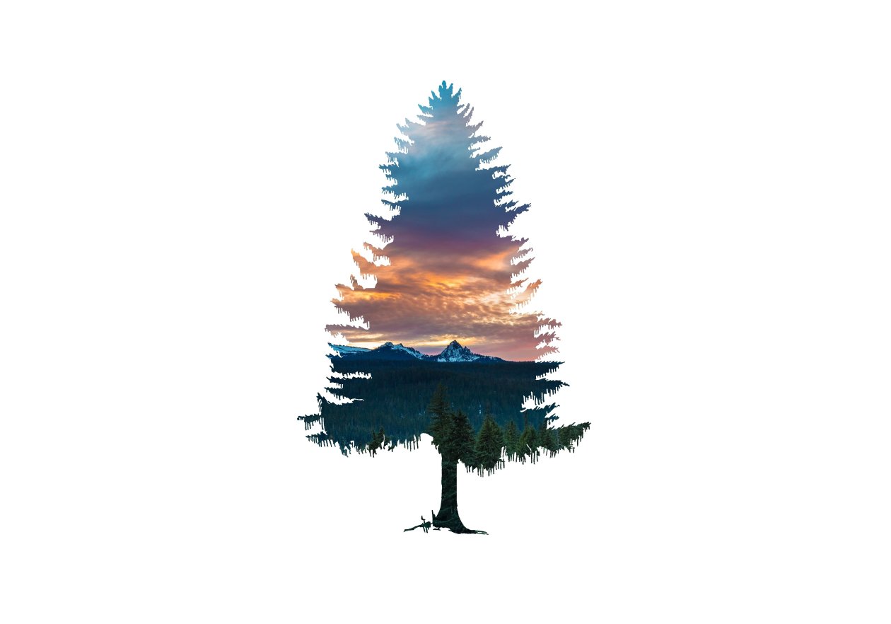 Tree Abstract Nature 5k