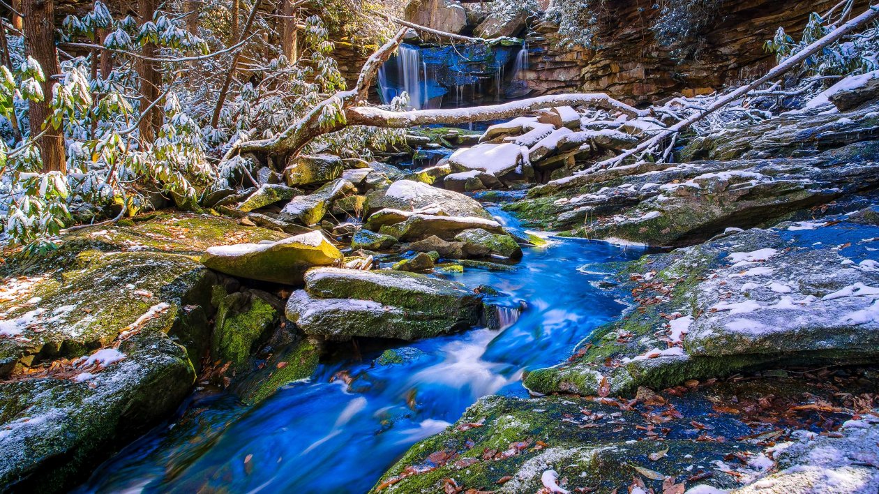 Wonderful Nature