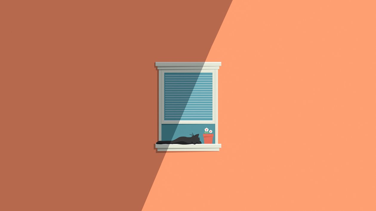 Cat Window Minimal 5k