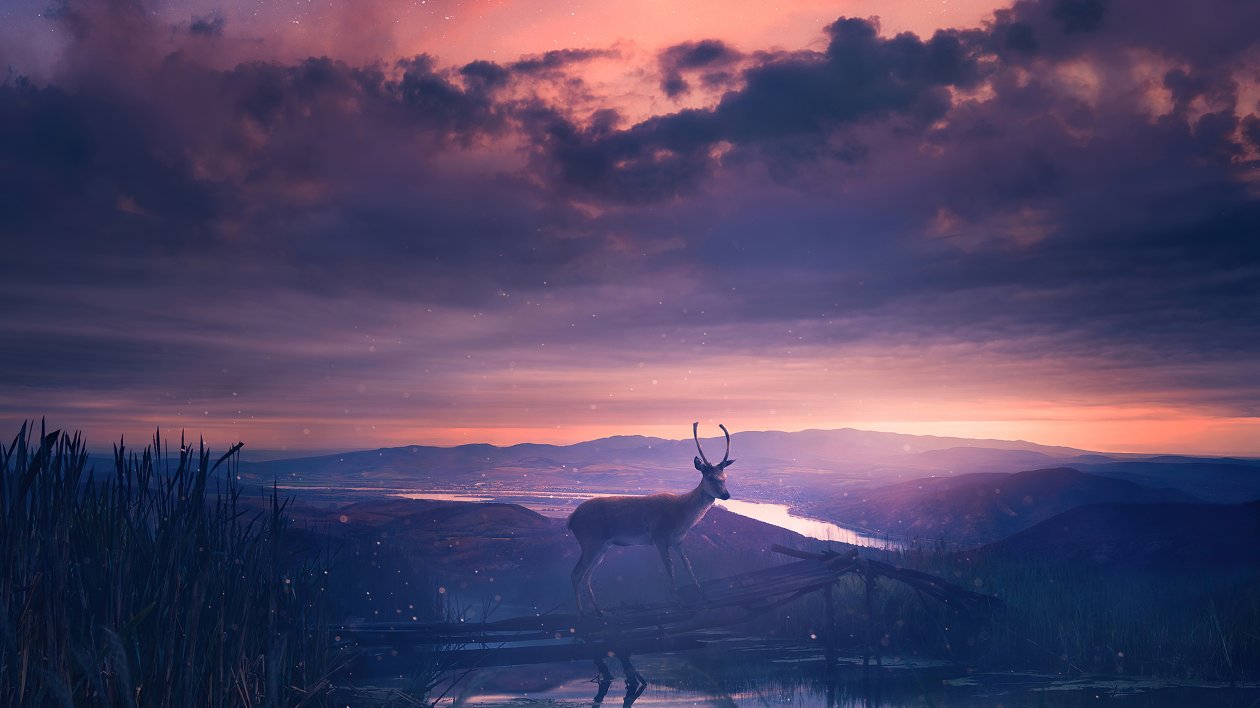 Twilight Deer 4k