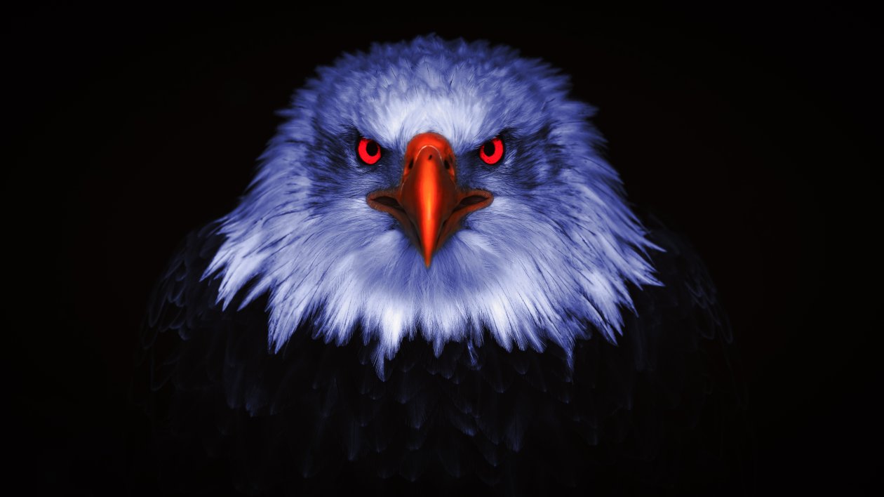 Eagle Raptor Eyes 8k