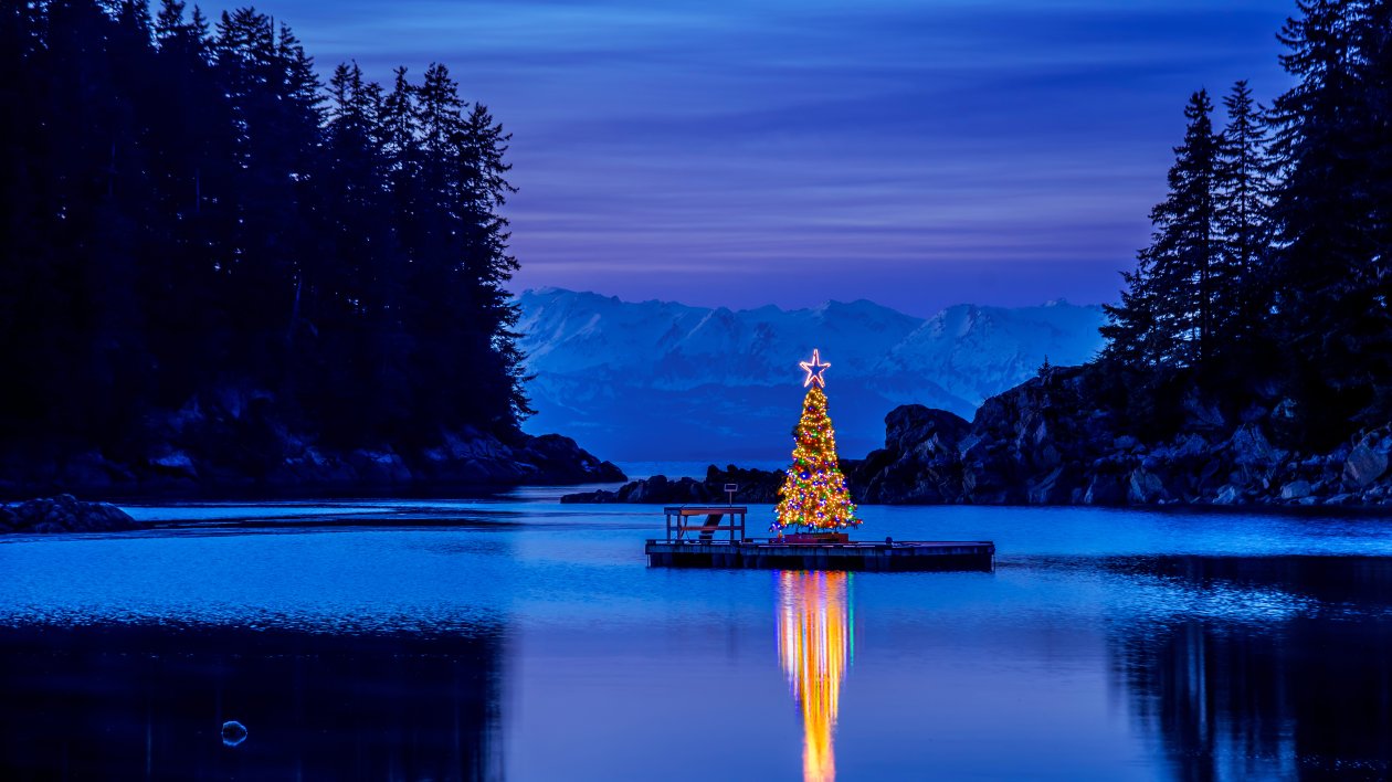 Alaska Amalga Harbor Christmas Tree 10k