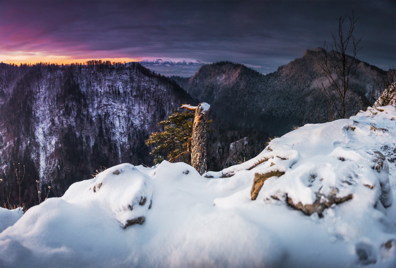 Winter Landscape Snow