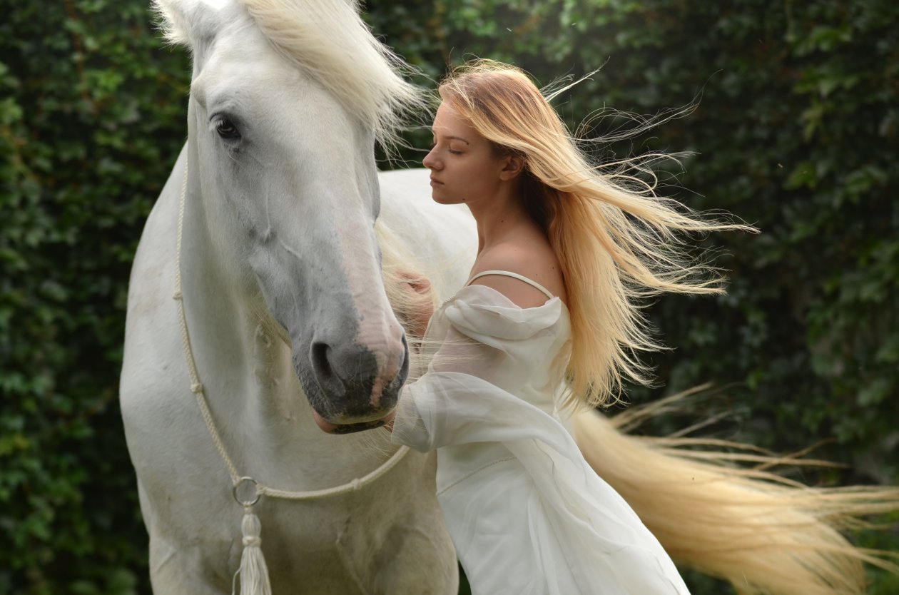 Girl With White Horse 5k