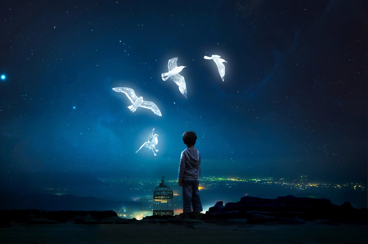 Boy Child Freeing Birds