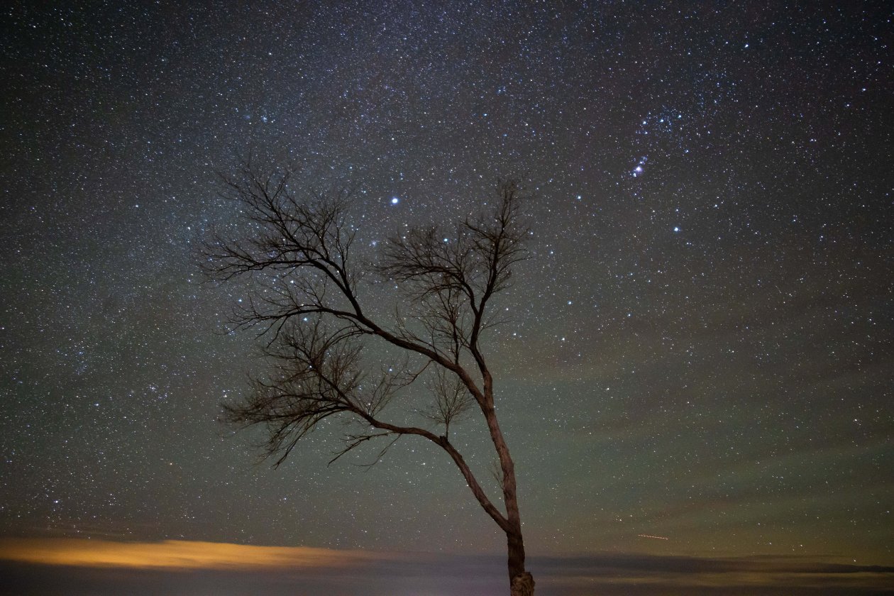 A Lone Tree Under A Night Sky With Stars