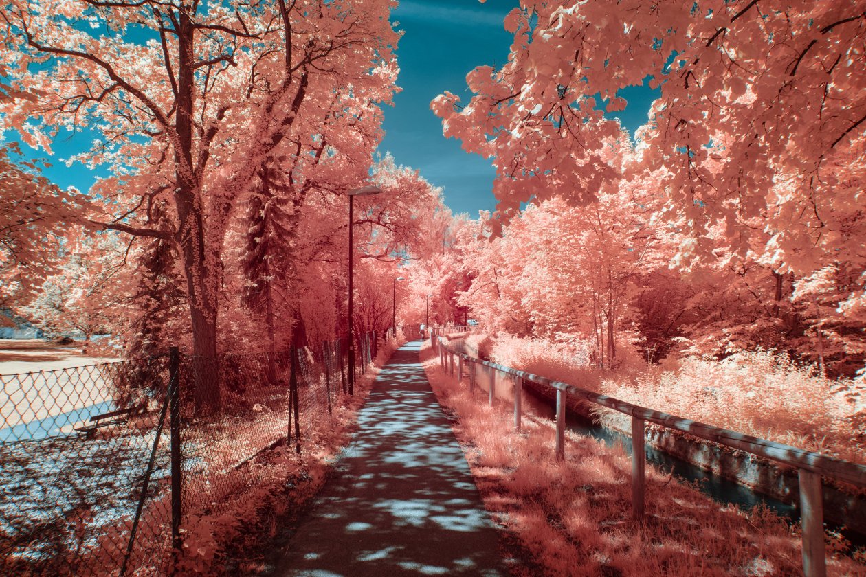 Autumn Photography 4k