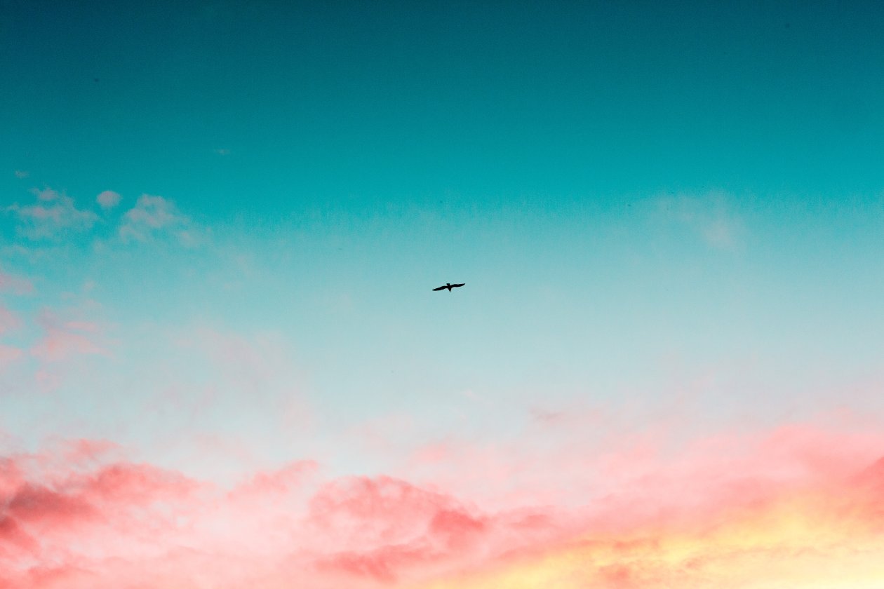 Beautiful Sky Clouds Bird Flying 4k