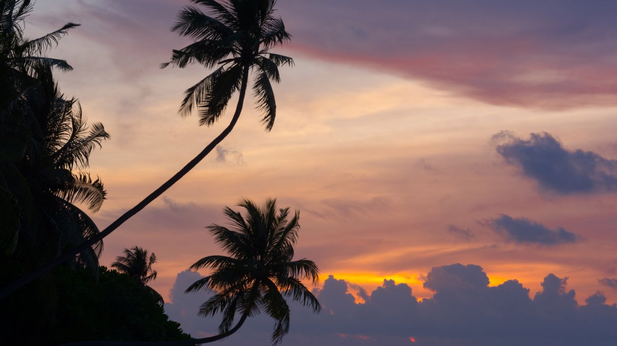 Maldivian Sunset