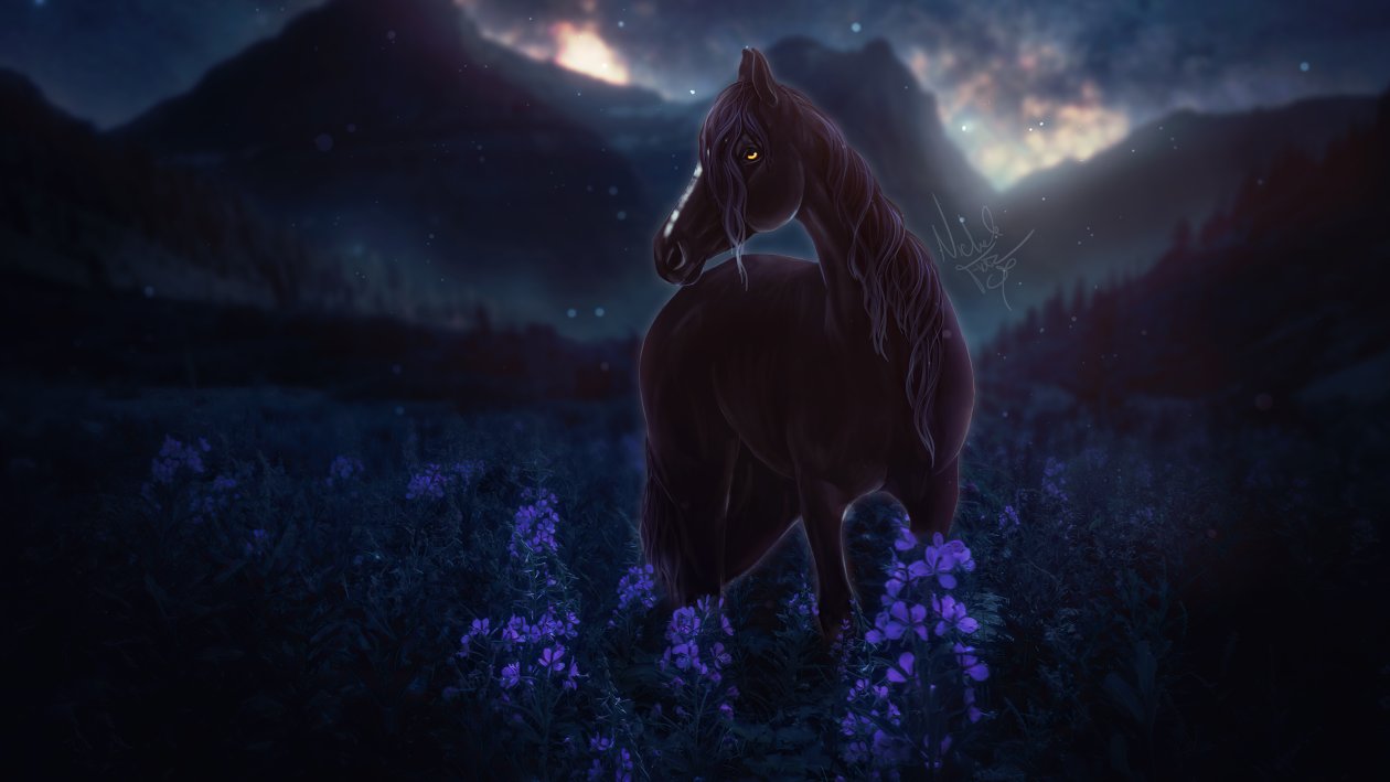 Horse Meadow Night Flowers 4k
